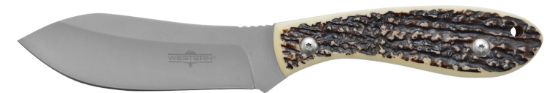 Picture of Camillus 19162 Western Crosstrail 4.25" Fixed Clip Point Plain Silver 420 Steel Titanium Bonded Blade, Stag/Antler Delrin Handle, Includes Belt Loop/Sheath 