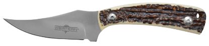 Picture of Camillus 19161 Western Crosstrail 3.25" Fixed Plain Silver 420 Steel Titanium Bonded Blade, Stag/Antler Delrin Handle, Includes Belt Loop/Sheath 