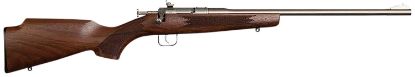 Picture of Chipmunk 10002 Deluxe The Original Youth Deluxe Single Shot 16.10" Satin Tapered Barrel, Satin Stainless Steel Receiver, Fixed American Walnut Stock, Ez Loader 